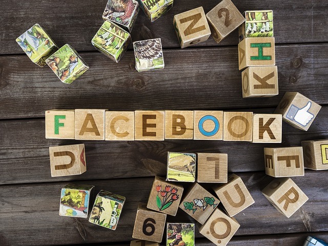 facebook_ads_ninja_3