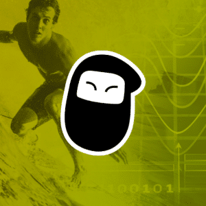 ninja Data Analytics