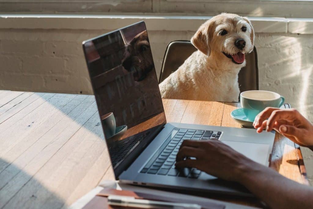 lavoro da remoto e tempo libero