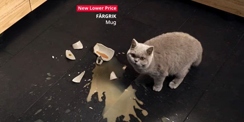 IKEA campaign-dont-worry-you-can-affort-it-