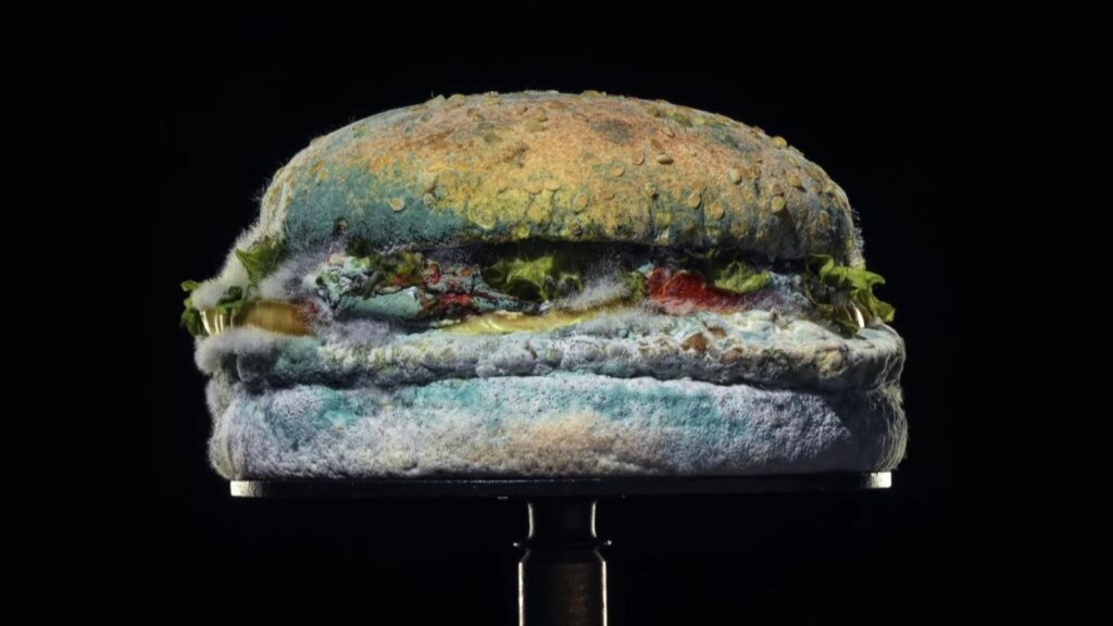 Guerrilla Marketing burer king whopper ammuffito