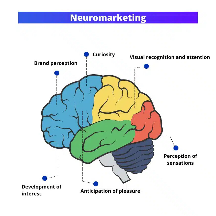 neuromarketing