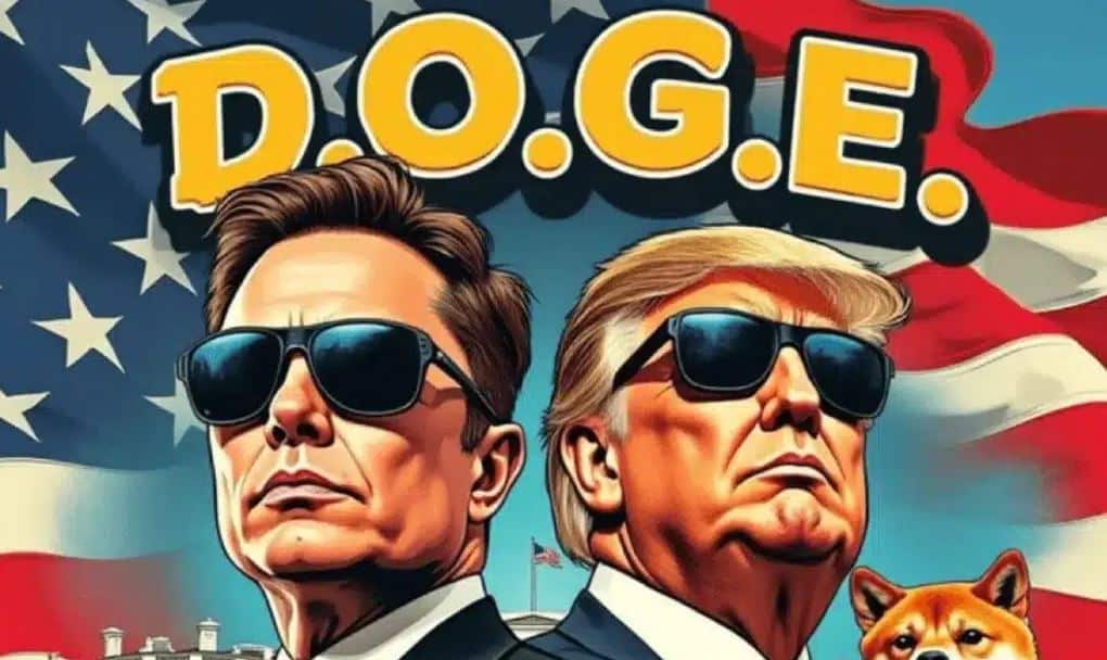 meme doge musk
