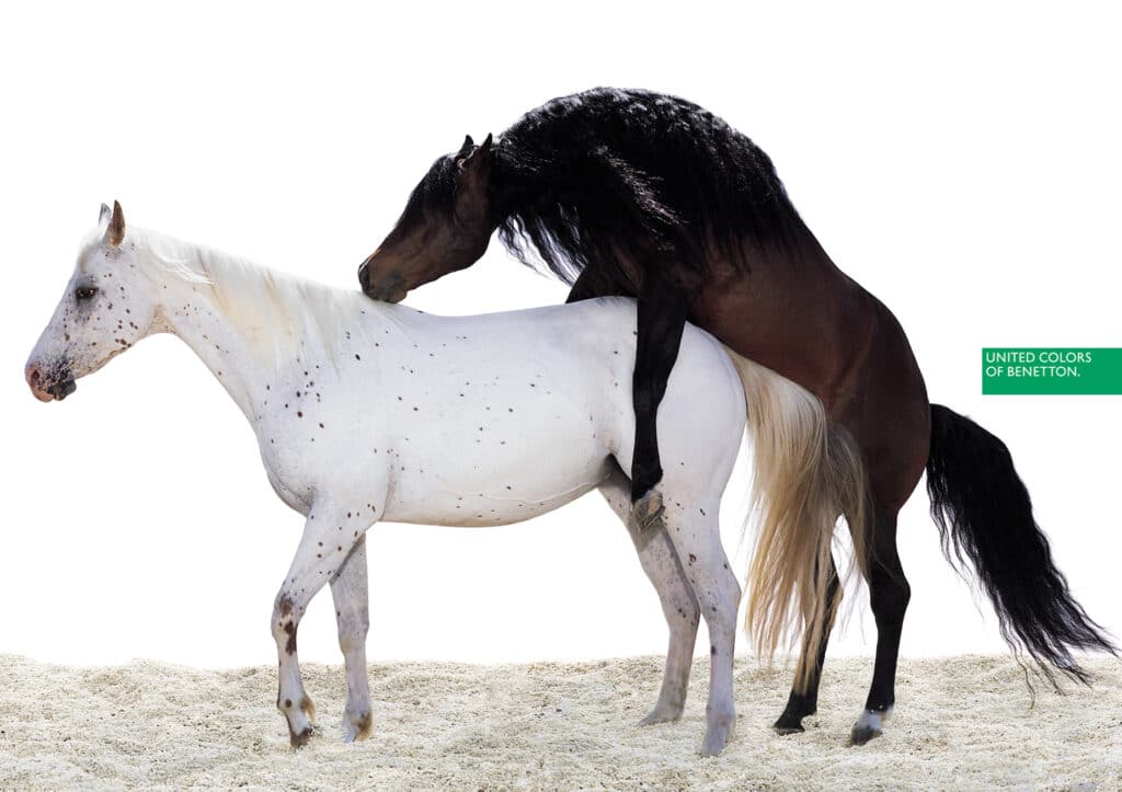 oliviero Toscani - 1996 - Cavalli