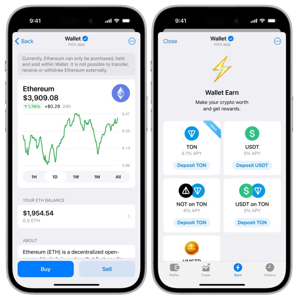 telegram wallet crypto - mockup