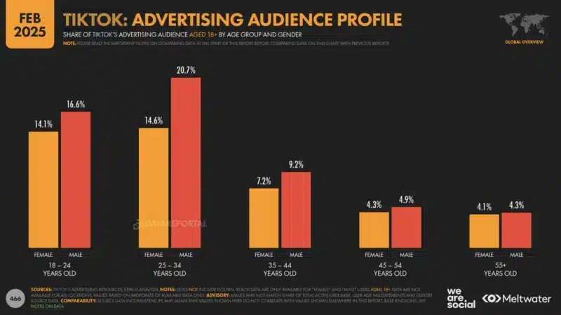 tiktok per il marketing B2B - analisi demografica